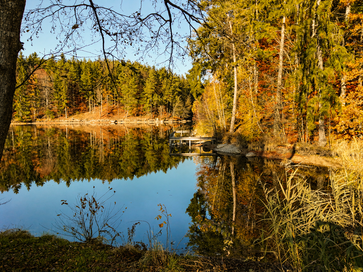 Der Rohrbachsee in Eging, ca. 20 Min. vom Büchelsteiner Hof in Grattersdorf entfernt